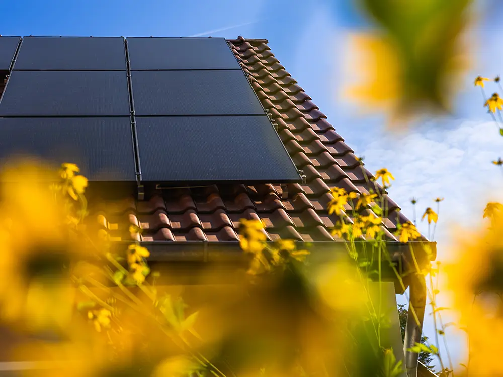Fertig installierte Infravoltaic Solaranlage auf einem hellbraunen Hausdach. Im Vordergrund sieht man Gartenblumen.